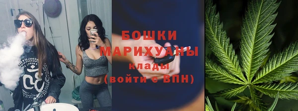 хмурый Ладушкин