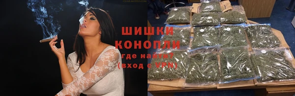 винт Лабытнанги