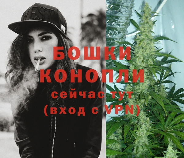 прущие грибы Лагань