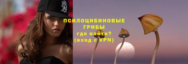 прущие грибы Лагань