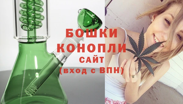 винт Лабытнанги