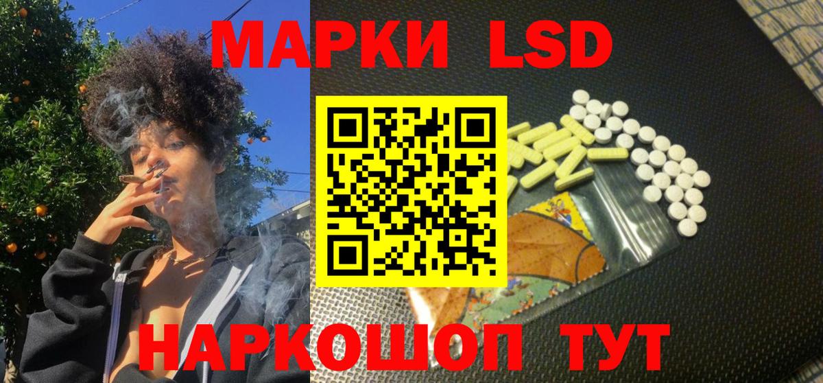 LSD-25 Котлас